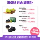 수니팜