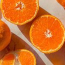 미란농장 이미지