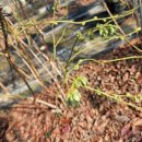 영란농장 이미지