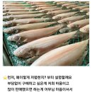 황금빛 군산 반건조박대 이미지