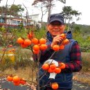 과수원모텔 이미지