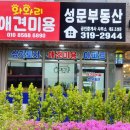 와와리 애견미용 | 배곧 상가 옥상 텃밭 7월3일