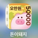 (주)스마트테크 | 앱테크 돈이돼지 (B1716C) 후기, 숨겨진 꿀팁 대방출!