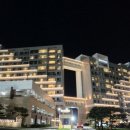 소노펠리체 델피노 이미지