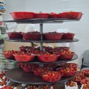 고은농장 | 청주 진희네딸기 농장, 청주 딸기 맛집, 주차, 진희네딸기 방문후기, 청주데이트, 진희네딸기 가격...