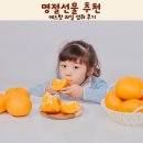 과일점 | 명절선물 추천 고당도 레드향 과일 섭취 후기