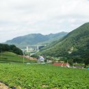 방동상회