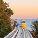 동아리조트 이미지