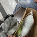 군산우체국 | [군산] 나만 몰랐던 핫플 도시 군산 당일치기