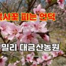 대금산농원