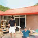 삼시세끼 이미지