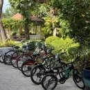 양천구청(흡연부스 옆) | 세부코스타벨라리조트 디럭스풀사이드 숙박 후기(2) 부대시설 수영장 조식