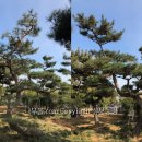 삼보농장 이미지