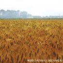 귀빈장모텔 이미지