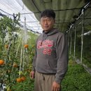김규현농장 한겨레