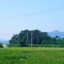 양사경로당 이미지