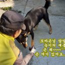 애원민박 이미지