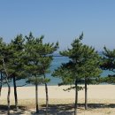 빅오커피앤스테이 네이버블로그