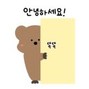 메이피프틴