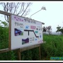 아름다움을먹다 이미지