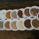 키다리농장 이미지