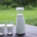 차차차휴게소 이미지