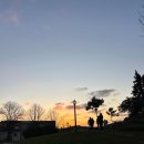 해나의정원 | 포르투 모루정원 메뉴판없는 가성비 맛집 Porto Antigo Comida Caseira 농어구이 스테이크 후기