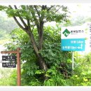 충북알프스자연휴양림 이미지