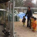 바탕골미술관 이미지