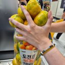 귤담길 | [이마트 과일 추천] 도전! 제주과일 가득담기 챌린지 후기 & 실패 없는 맛있는 수박 고르는 법 🍉🍊