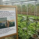 단일농장 이미지