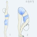 매일요가
