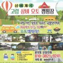 대구오토 이미지