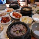 돼지나라 이미지