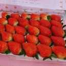 군위농장 이미지