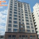 도담도담채 이미지