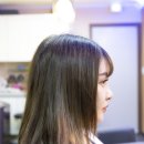 해봄붙임머리 이미지