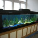 서초초등학교 이미지