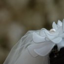 명동축사 | [별똥별필름] 명동 라루체웨딩홀 루아르홀 결혼식DVD 4K 1인3캠 촬영 후기