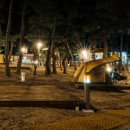 맹방비치캠핑장 이미지