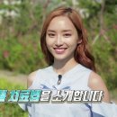 주식회사 미라