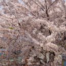 강서체육공원 이미지