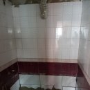 흥해선우 이미지