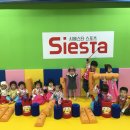 시에스타스포츠