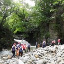 인제휴가 이미지