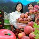 문경농협하나로마트 이미지