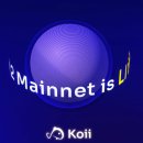 코이(koii) 이미지
