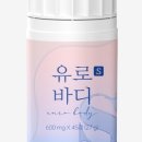 바디S 네이버블로그
