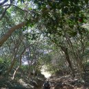 광양 옥룡사지 이미지