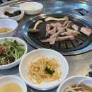 포항특별시뒷고기 - 27764 | 포항특별시뒷고기
